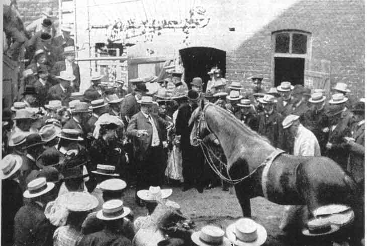 A monochrome photo taken in 1902. A horse named Clever Hans stands surrounded by spectators, almost all of whom are wearing brimmed hats. 